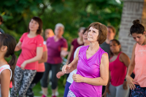 Dansons sous le pavillon 
