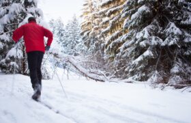 Ski de fond