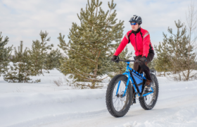 Vélo à pneus surdimensionnés (fatbike)